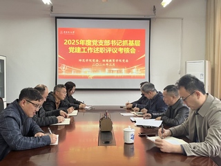 师范学院党委开展2025年度党...
